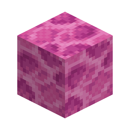 Brain Coral Block