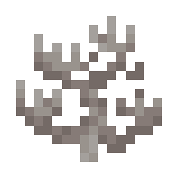 Dead Fire Coral