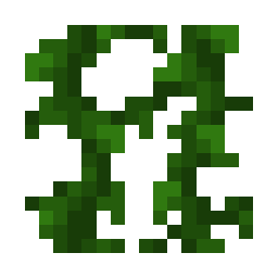Vines