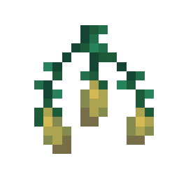Torchflower Seeds