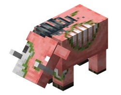 Zoglin