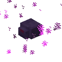 Endermite