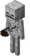 Skeleton
