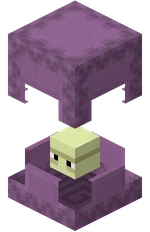 Shulker