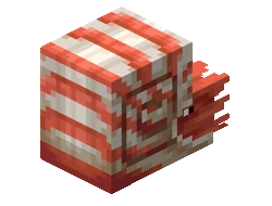 Nautilus