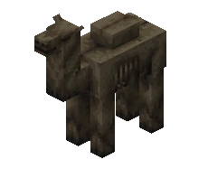 Camel Husk