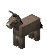 Donkey