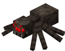 Spider