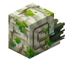 Zombie Nautilus
