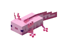 Axolotl