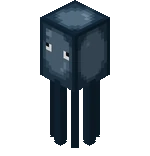 Squid