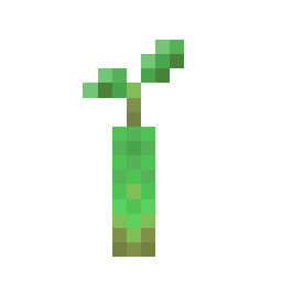 1 × Mangrove Propagule trade
