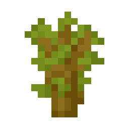 1 × Acacia Sapling trade