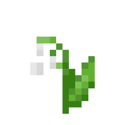 1 × Lily of the Valley trade