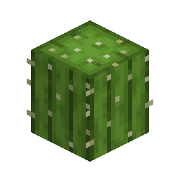 1 × Cactus trade