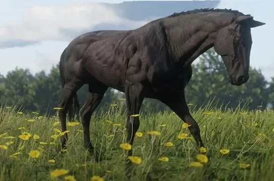 Black Chestnut Thoroughbred