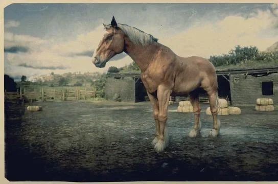 Blond Chestnut Belgian Draft