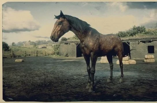 Dapple Bay Tennessee Walker