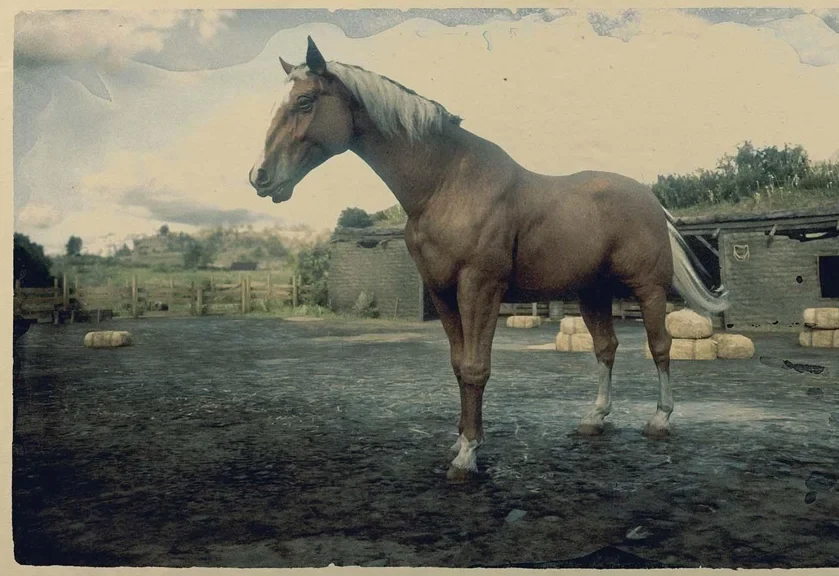 Flaxen Chestnut Hungarian Halfbred