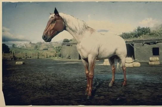 Flaxen Roan Tennessee Walker
