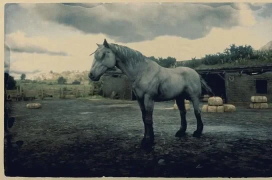 Grullo Dun Mustang