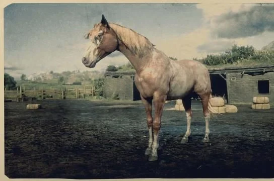 Red Roan Tennessee Walker
