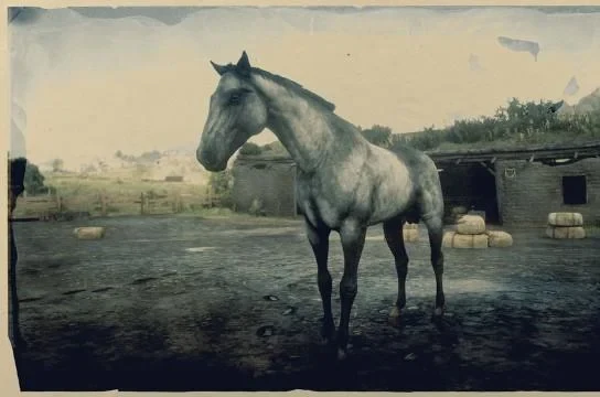 Silver Turkoman