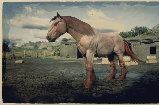 Strawberry Roan Ardennes