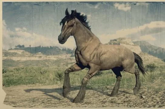 Tiger Striped Bay Mustang