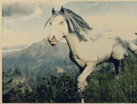 White Blagdon Gypsy Cob