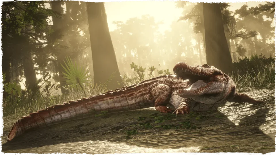 Banded Gator