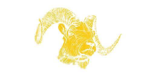 Chalk Horn Ram