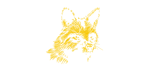 Cross Fox