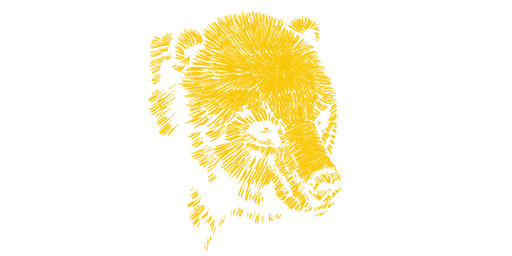 Golden Spirit Bear