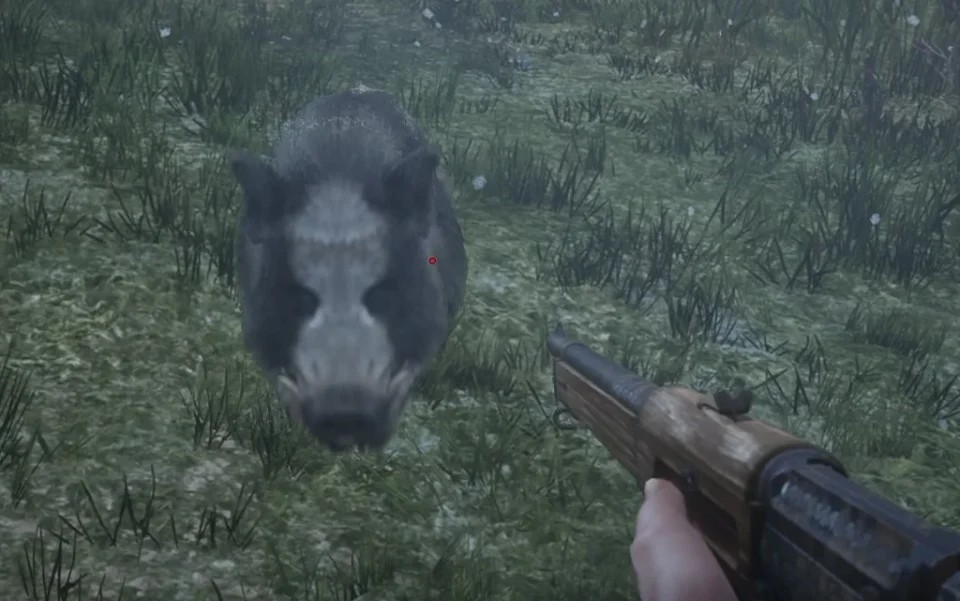 Icahi Boar