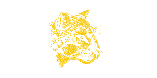 Iguga Cougar
