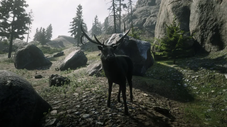 Katata Elk