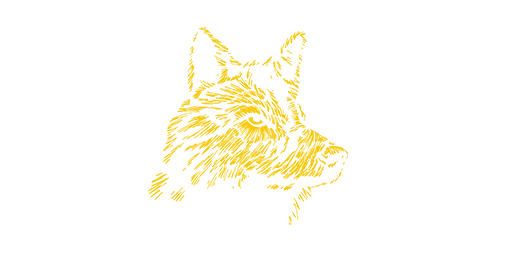 Midnight Paw Coyote