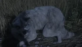 Moonstone Wolf