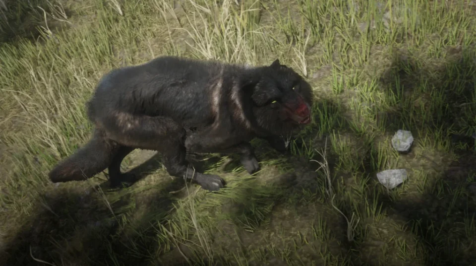 Onyx Wolf