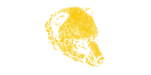 Owiza Bear