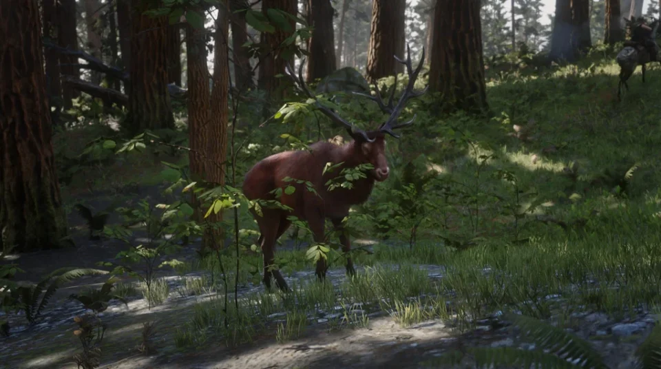 Ozula Elk