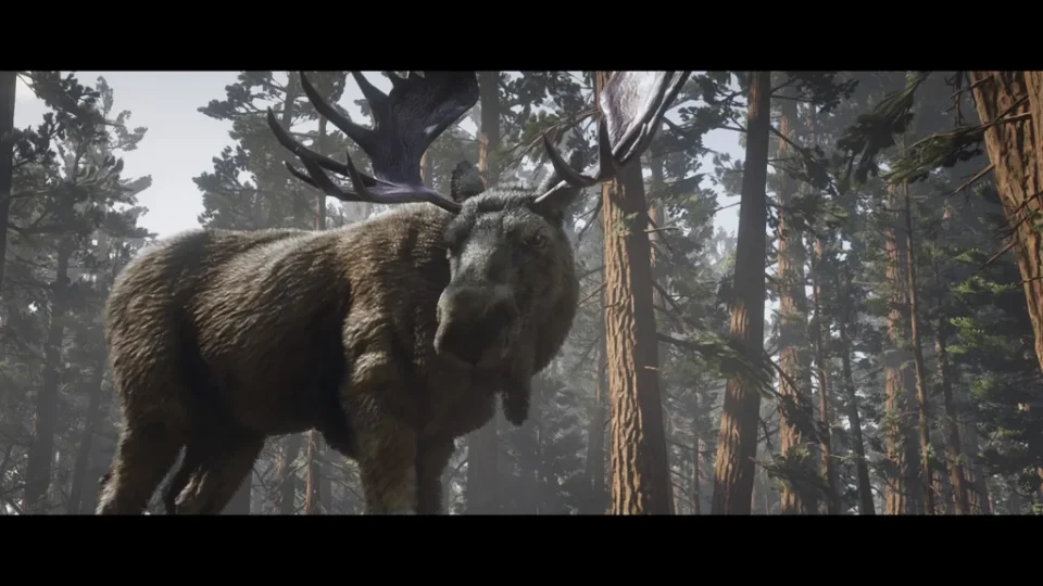Ruddy Moose