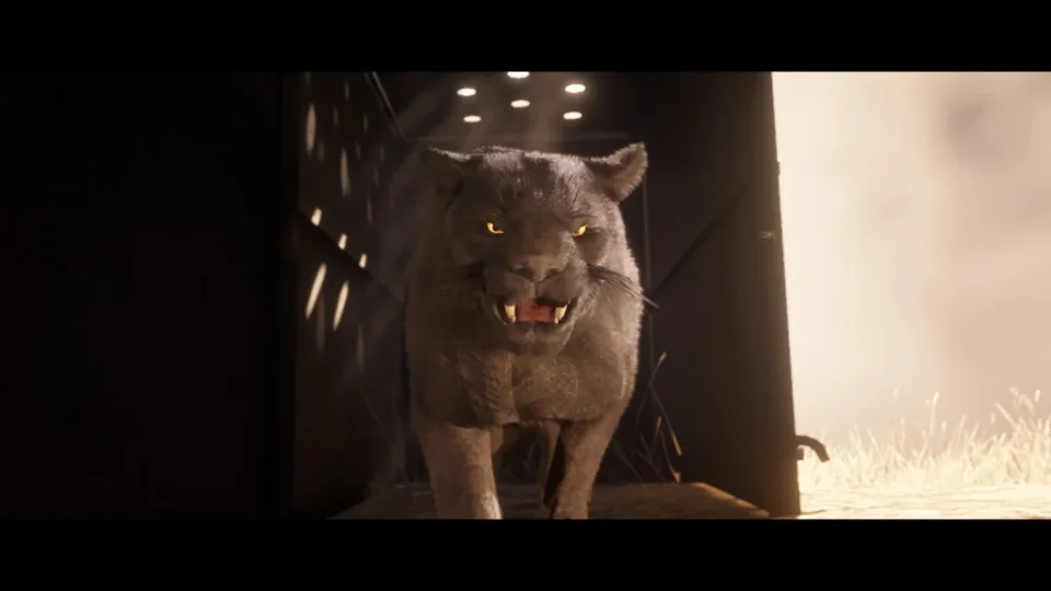 Sapa Cougar