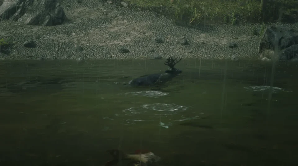 Shadow Buck