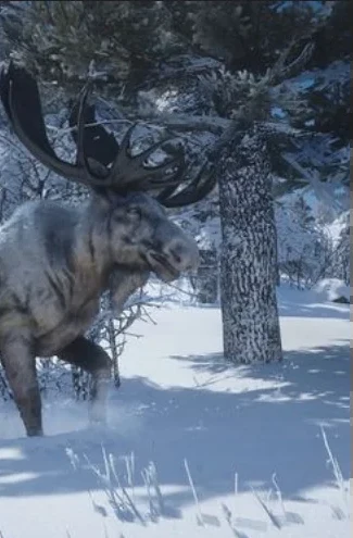 Snowflake Moose