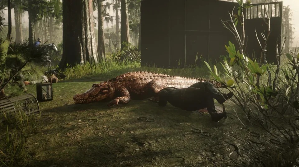 Sun Gator