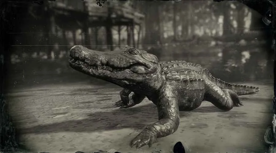 American Alligator (small)