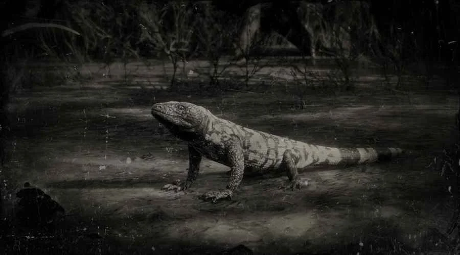 Banded Gila Monster