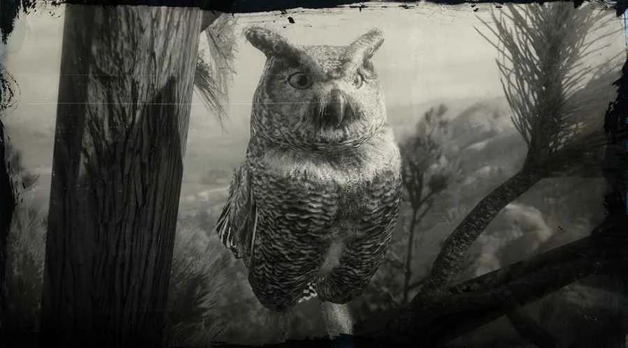 Great Horned Owl
